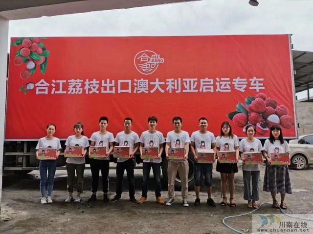 荔枝红了|官宣!合江荔枝正式上市(图10) 荔枝红了|官宣!合江荔枝正式上市(图10)