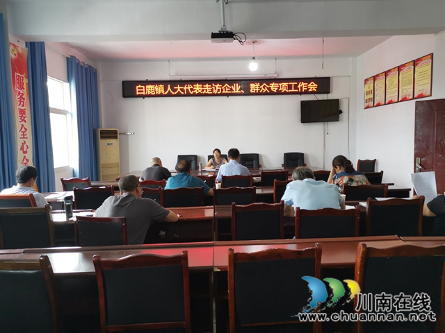 蒲德容组织代表深入合江县白鹿镇企业、群众调研走访(图1)