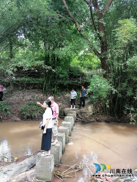 蒲德容组织代表深入合江县白鹿镇企业、群众调研走访(图5)