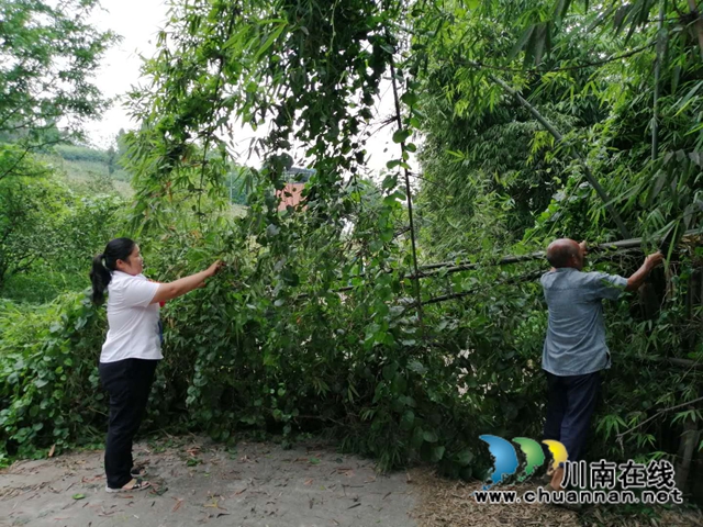 内江:网巡路遇“拦路虎”,社区“格格”急处理(图1) 内江:网巡路遇“拦路虎”,社区“格格”急处理(图1)