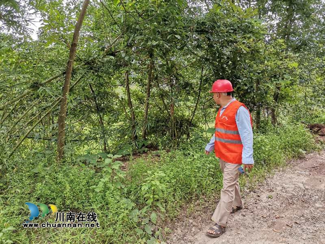 合江石龙镇:多措并举,严守森林防火“安全关”(图3) 合江石龙镇:多措并举,严守森林防火“安全关”(图3)