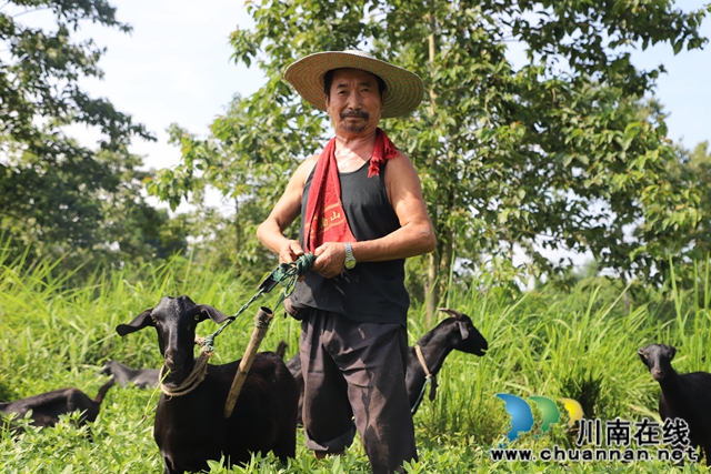泸县玉蟾街道：五保户依靠勤劳度困难(图1)