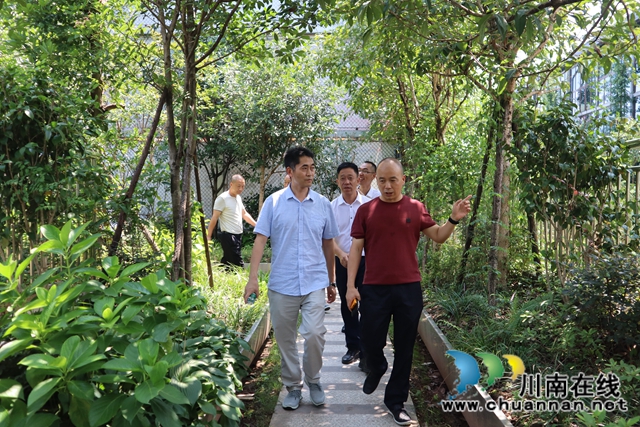 泸县云龙镇人大主席团组织开展调研视察活动(图2)