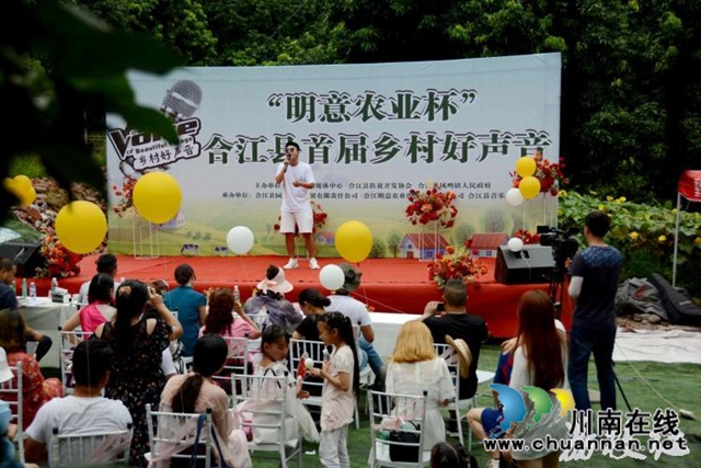 合江县百年荔枝林飘出乡村好声音(图2)