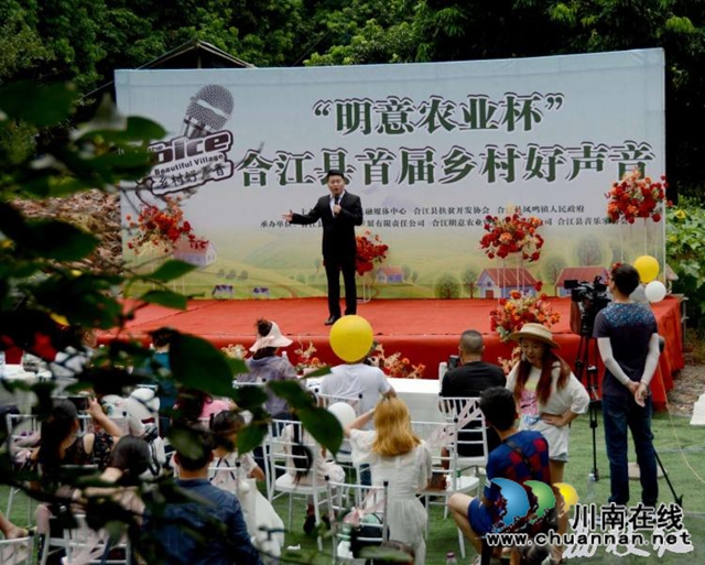 合江县百年荔枝林飘出乡村好声音(图1)