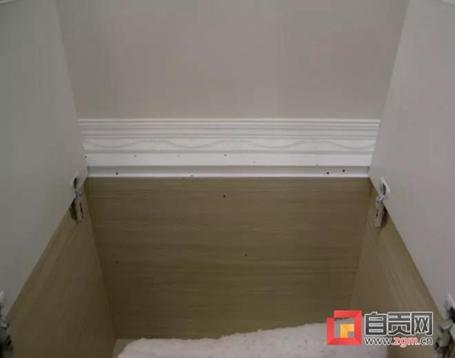 破坏力极强!自贡富顺首次发现这种有害生物(图3) 破坏力极强!自贡富顺首次发现这种有害生物(图3)