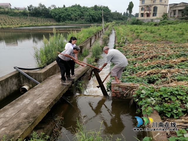 内江经开区靖民镇双塘村：做好农村汛期巡查 落实各项防汛措施(图1)