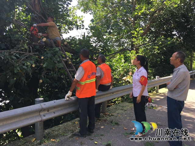 内江经开区靖民镇石坝村开展清理道路两旁树娅工作(图1)