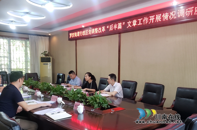 袁瑞调研指导龙马潭区罗汉街道行政区划调整改革“后半篇”工作(图1)