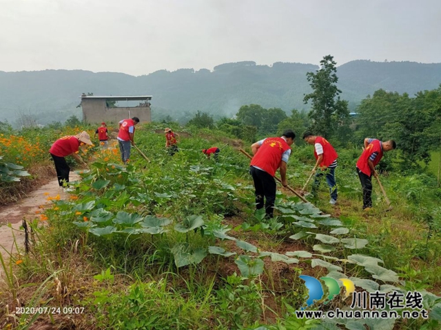 泸县玉蟾街道党员志愿服务队助力脱贫攻坚(图1)