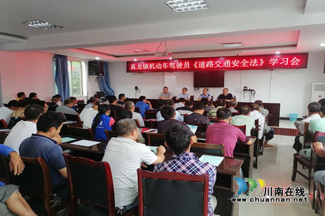 合江县真龙镇组织机动车驾驶员学习《道路交通安全法》(图1)