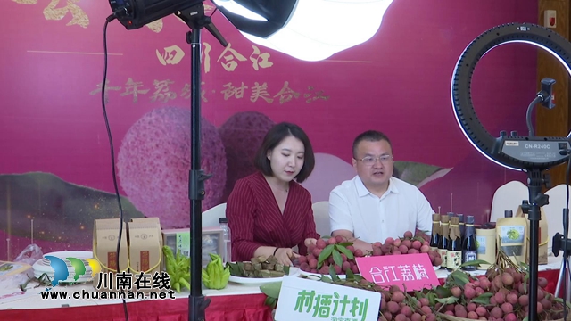 电商直播激发销售潜力，合江荔枝绽放别样“火红”！