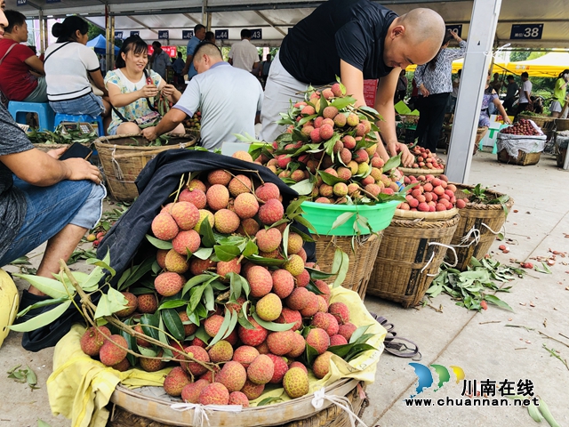 电商直播激发销售潜力，合江荔枝绽放别样“火红”！(图3)