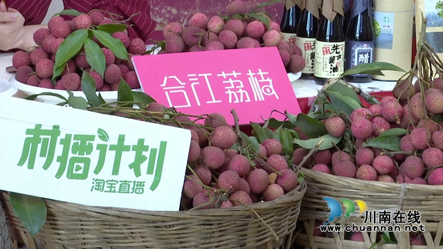 电商直播激发销售潜力，合江荔枝绽放别样“火红”！(图2)