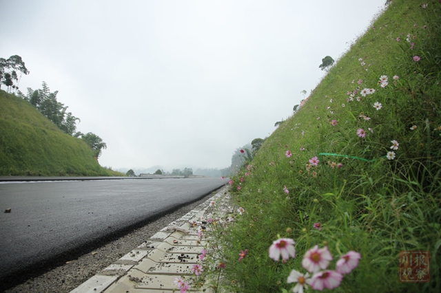 快了！成宜高速全线通车年底或将实现(图5)