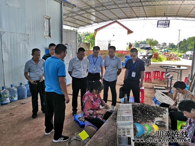 泸县食安办到立石镇开展食品安全党政同责半年专项督查(图2)