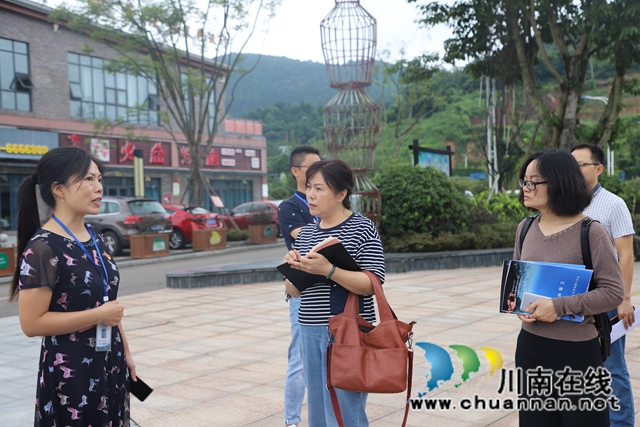 泸县玉蟾街道召开省级安全社区建设复评现场评定会(图2)