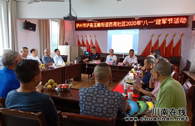 泸县玉蟾街道西苑社区开展庆祝“八一”建军节活动(图1)