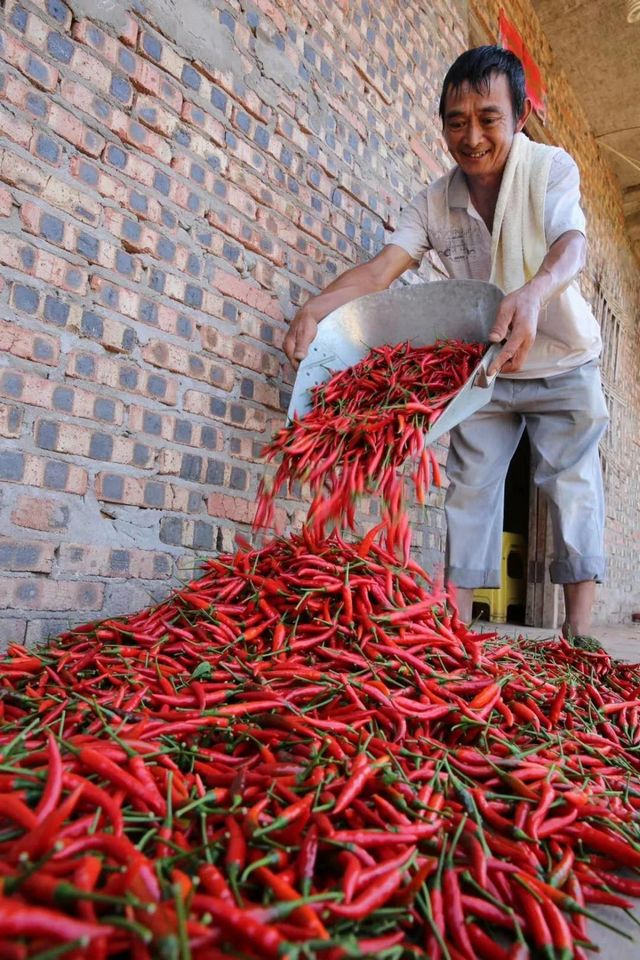 被新华社“相中”！内江这个“国”字号农产品红啦(图8)