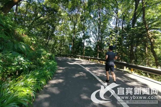 抢先看！宜宾“六山”保护提升工程(图2)