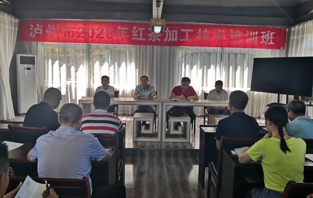 泸州市借智借力,提升红茶加工技术水平(图1) 泸州市借智借力,提升红茶加工技术水平(图1)