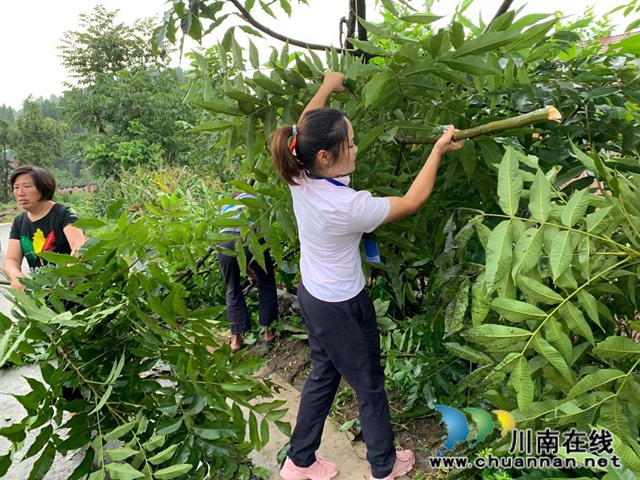 内江经开区靖民镇凉风社区：网巡偶遇“拦路虎”，“格格”积极消隐患(图1)