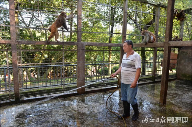 18年与虎为伴！内江这个专职“铲屎官”厉害了(图3)