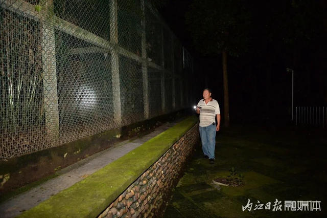 18年与虎为伴！内江这个专职“铲屎官”厉害了(图8)