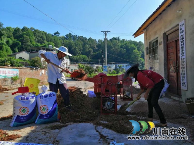 红高粱+红辣椒 泸县立石镇东林观村扶贫产业园映红脱贫路(图4)
