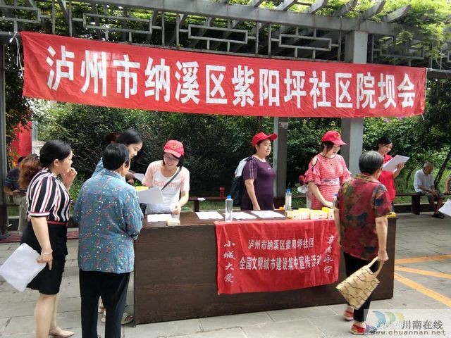 泸州市纳溪区行政审批局开展全国文明城市建设集中宣传和卫生集中大扫除志愿服务活动(图1)