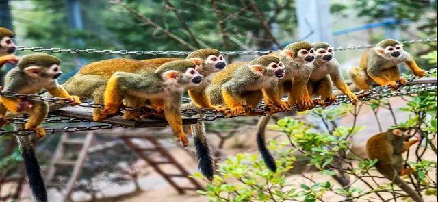 持泸州身份证去这些景区耍，打七折！(图7)