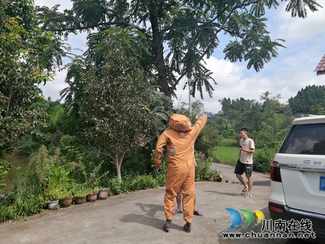内江经开区靖民镇双塘村：摘除恼人马蜂窝，“格格”持续助力(图2)