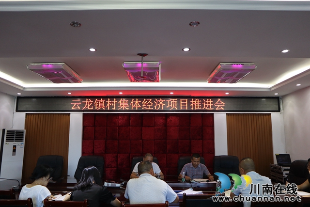泸县云龙镇召开村集体经济项目推进会(图1)