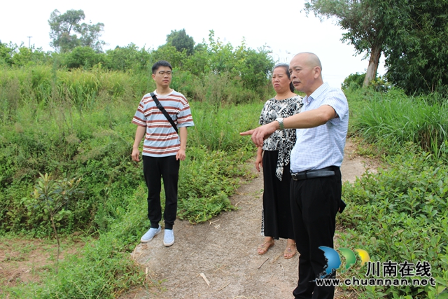 泸县玉蟾街道开展面源污染治理专项检查(图1)