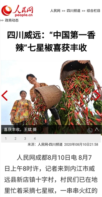 辣丝辣丝！内江产的这海椒“辣”到日本去了(图2)