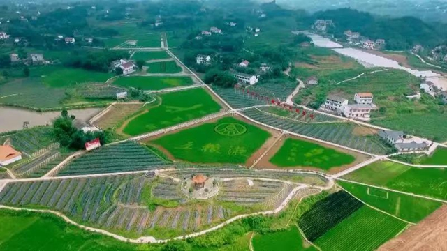 宜宾这4个村要改革了！农民变股东、年年有分红！(图1)
