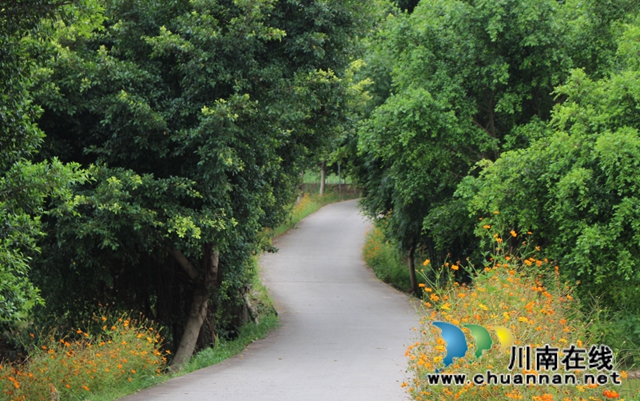 泸县玉蟾街道龙朝村：精准施策，助力贫苦户走上脱贫路(图1)