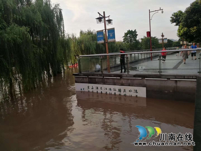 退了！长江洪峰顺利过境泸州(图5)