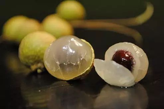 吃货们再等等！泸州桂圆即将大量上市(图7)