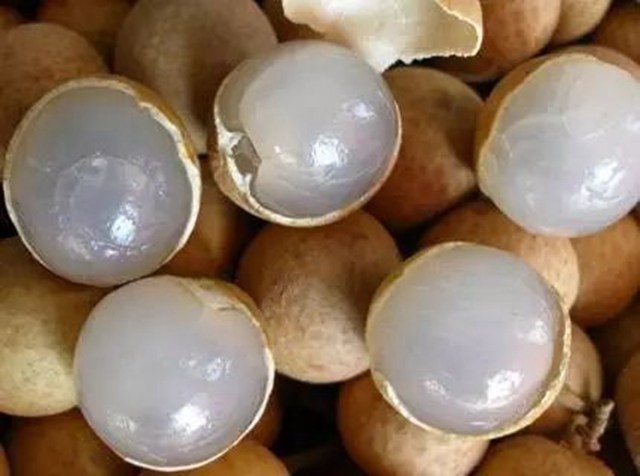 吃货们再等等！泸州桂圆即将大量上市(图8)