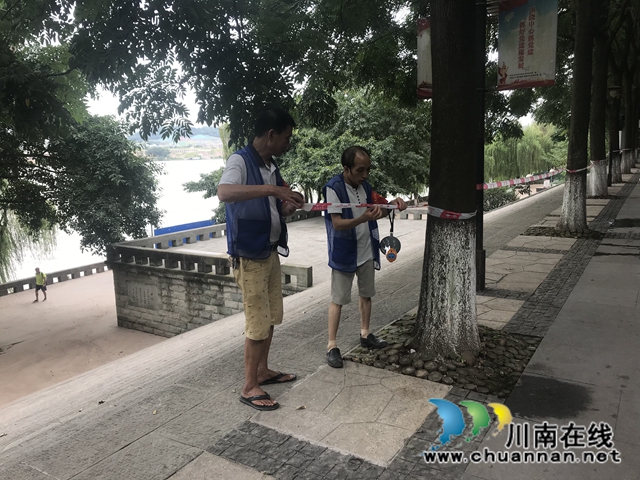 江阳区北城街道严阵以待迎洪峰过境(图2)