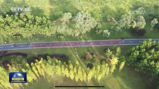 《新闻联播》头条！宜宾这项工作被央视点名表扬！(图6)