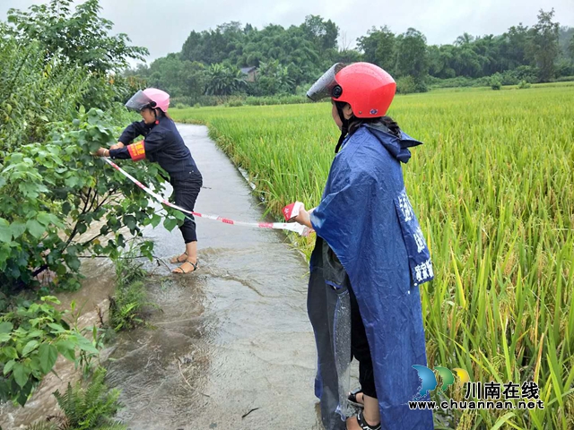 内江经开区靖民镇双塘村：保障群众“生命线”，“格格”严筑防汛安全墙(图4)