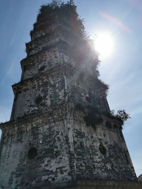 嗨！隆昌又一可以深呼吸的“城市绿肺”即将开放(图9)