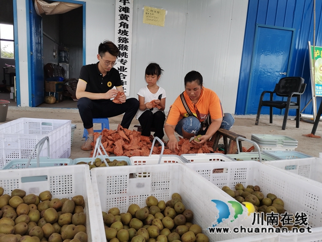 想美容要健康 泸县牛滩观斗山生态园猕猴桃飘香！(图4)