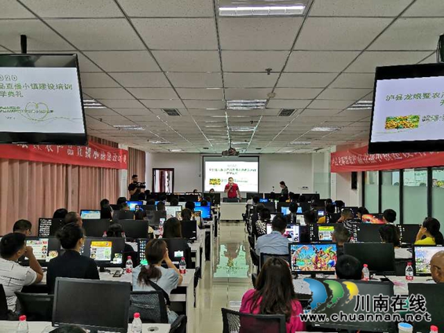 打造带货“网红”！泸县龙眼暨农产品直播小镇建设培训班开班(图2)