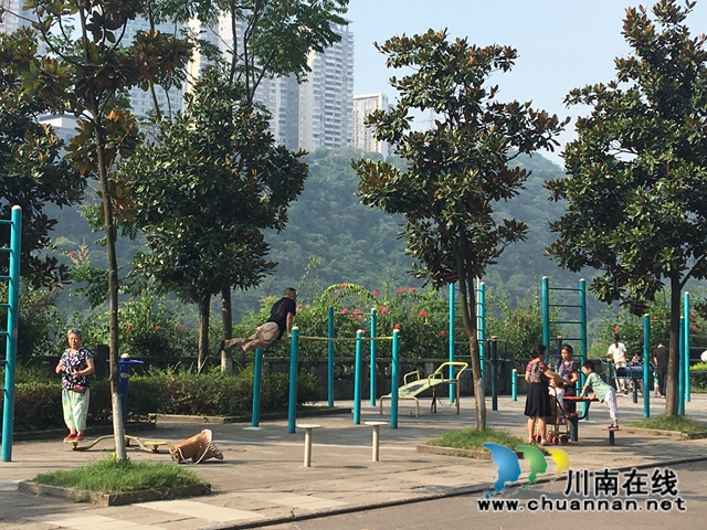 洪峰退去 龙马潭区红星街道迅速恢复正常生产生活(图5)