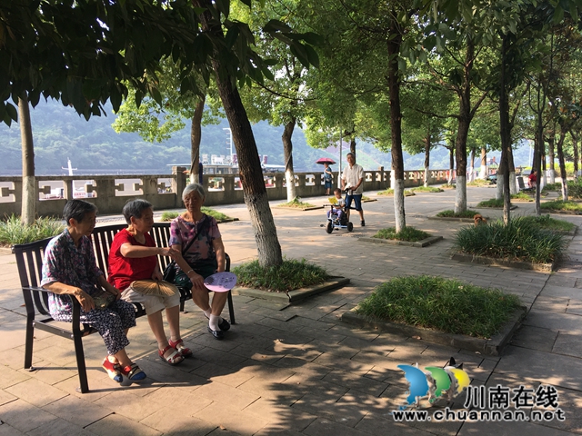 洪峰退去 龙马潭区红星街道迅速恢复正常生产生活(图4)