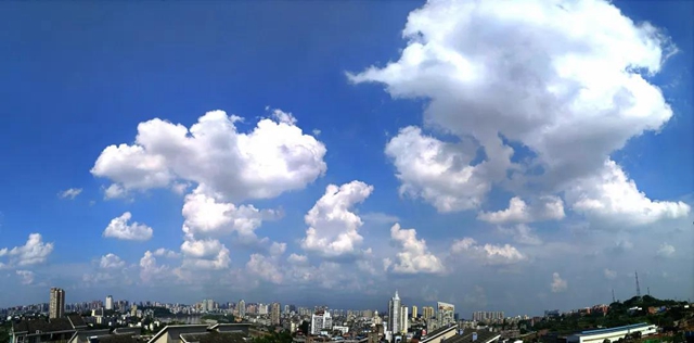 再次上榜！“内江蓝”入围全国前20强(图3)