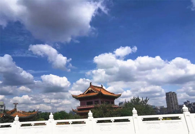 再次上榜！“内江蓝”入围全国前20强(图5)